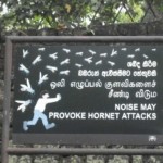 Noise may provoke