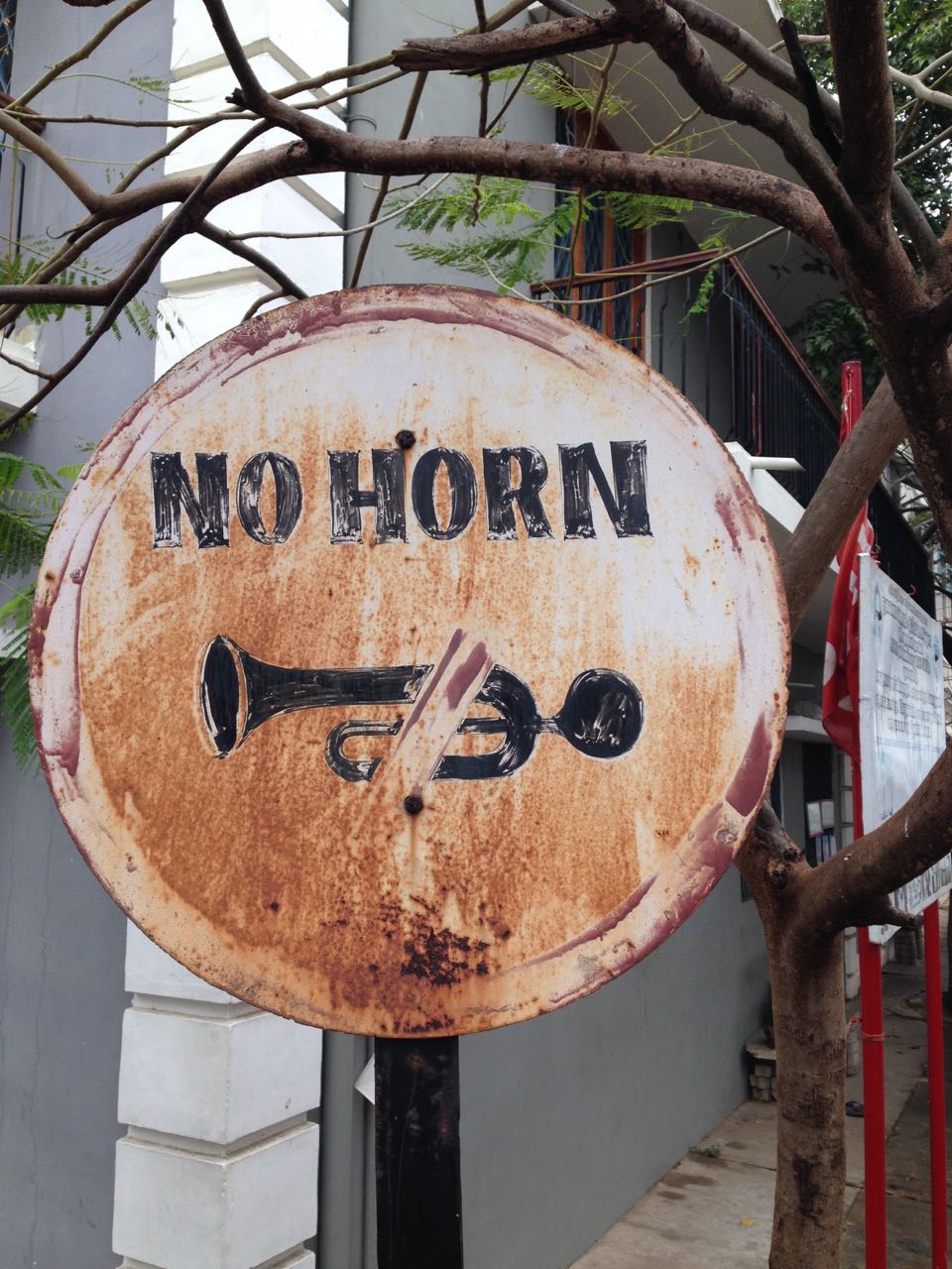 No horn. Pondichery 2014-2015 - 0053